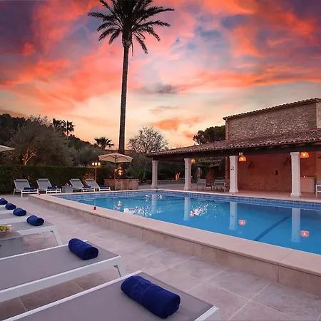 Papa فيلة بويينسا