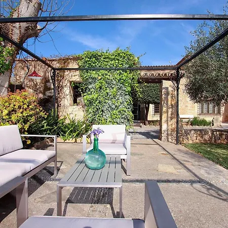 فيلة Papa بويينسا