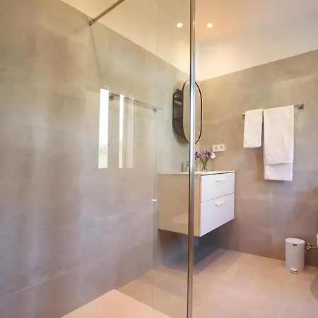 Papa فيلة بويينسا