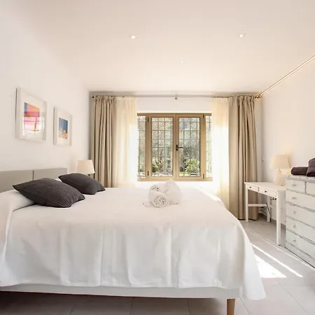 Papa فيلة بويينسا